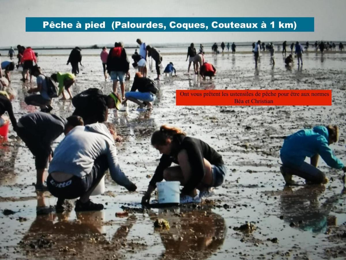 Magnifique Appartement Pres De La Mer Et Du Mt St Michel En Bretagne 滨海勒维维耶 外观 照片